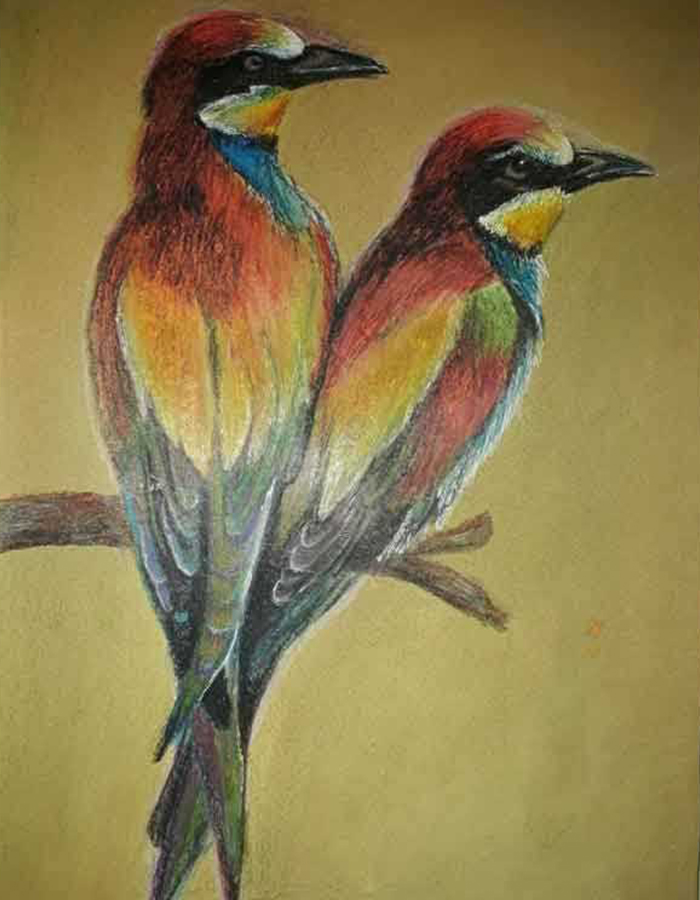 Bird Paintings